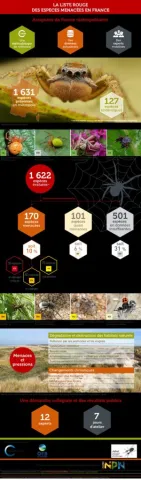 Parution de la Liste Rouge nationale Araignées