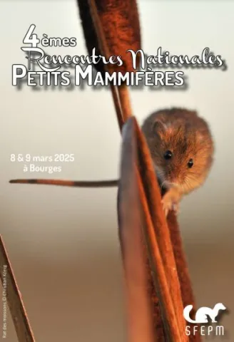 Présence d’une 6ème espèce de musaraigne dans la région : la Musaraigne carrelet (Sorex areneus)