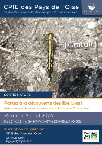 Partez à la découverte des libellules !