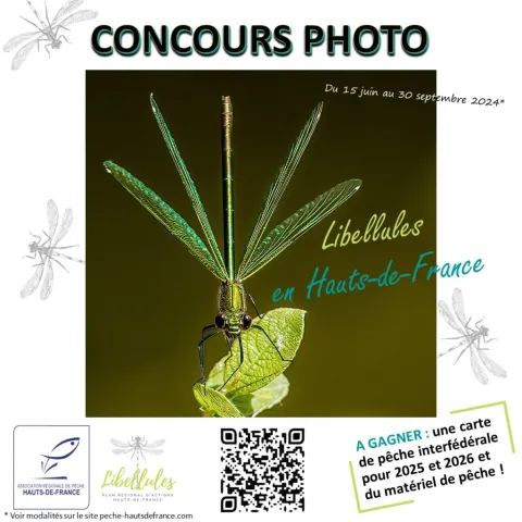 Concours photo Libellules en Hauts-de-France