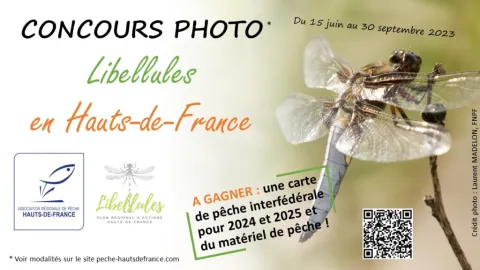 Concours photo Libellules en Hauts-de-France