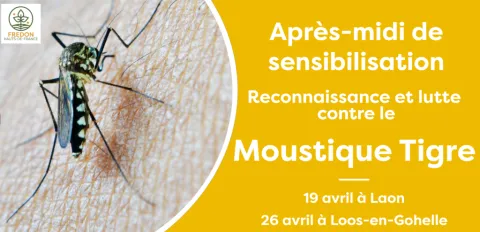 Après-midi de sensibilisation au Moustique tigre
