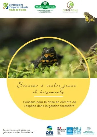 Parution d’un livret « Sonneur à ventre jaune et boisements »